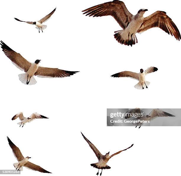 flock of seagulls - seagull flying stock illustrations