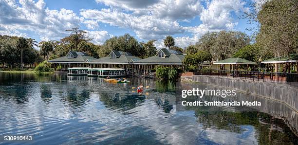 silver springs by kayak - ocala stock pictures, royalty-free photos & images