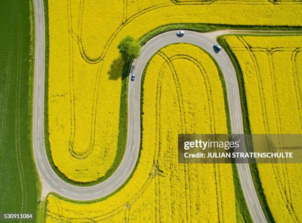 Aerial view taken on May 12, 2016 shows cars driving on the winding L401 country road past rapeseed fields near Nienstedt close to Bad Muender am...