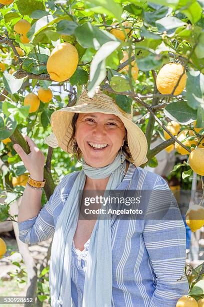 beautiful smiling woman among lemon tree - lemon tree stockfoto's en -beelden