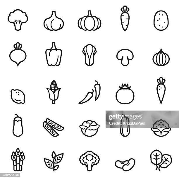 vegetables thin line icons - crucifers stock illustrations