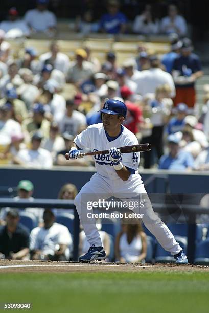 Oscar Robles of the Los Angeles Dodgers bats during the game against the Atlanta Braves at Dodger Stadium on May 15, 2005 in Los Angeles, California....