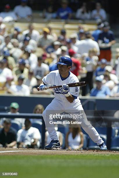 Oscar Robles of the Los Angeles Dodgers bats during the game against the Atlanta Braves at Dodger Stadium on May 15, 2005 in Los Angeles, California....