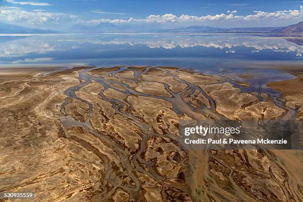 ewaso nyiro south river delta, lake natron, kenya - ol doinyo lengai stock pictures, royalty-free photos & images