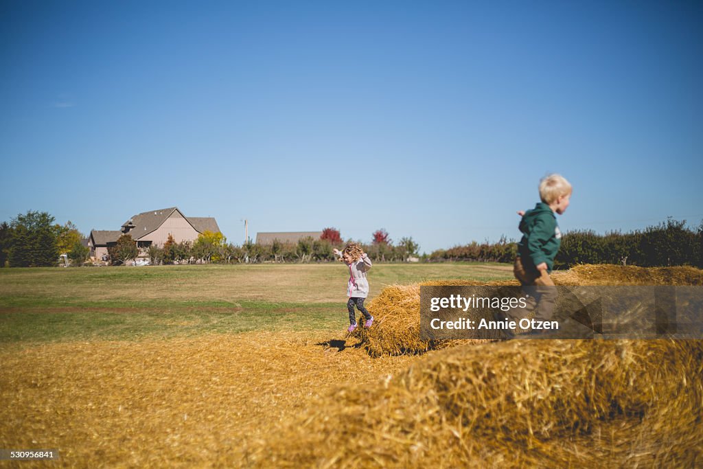 Children Playing On Hay Stack