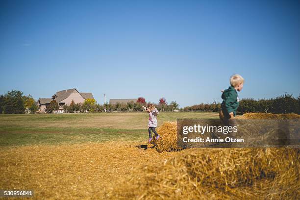 children playing on hay stack - harrisburg pennsylvania ストックフォトと画像
