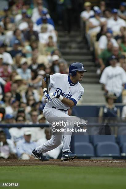 Oscar Robles of the Los Angeles Dodgers bats during the game against the Milwaukee Brewers at Dodger Stadium on June 5, 2005 in Los Angeles,...