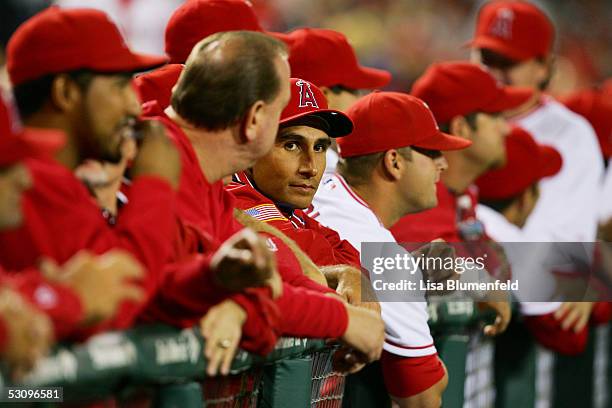 Pitcher Joel Peralta of the Los Angeles Angels of Anaheim looks on against the Los Angeles Dodgers on April 1, 2005 at Angel Stadium in Anaheim,...