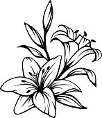 Black contour of lily flowers. Vector illustration.