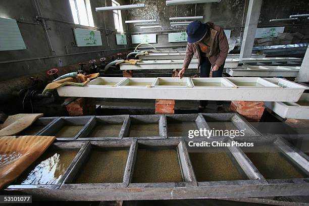 Worker of the Scale-less Carps Hatchery draws out germ cells of scale-less carps in hatchery ponds for research on June 18, 2005 in Gangcha County of...