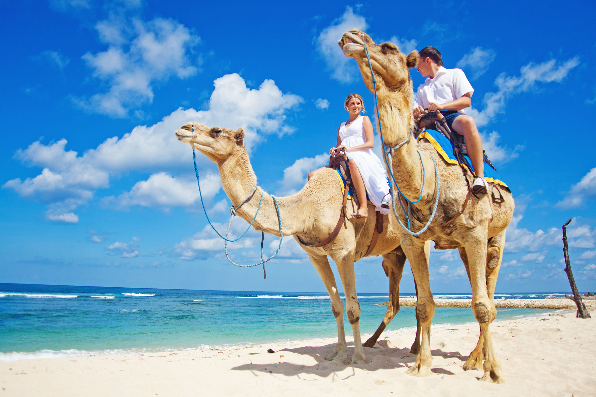 camel ride