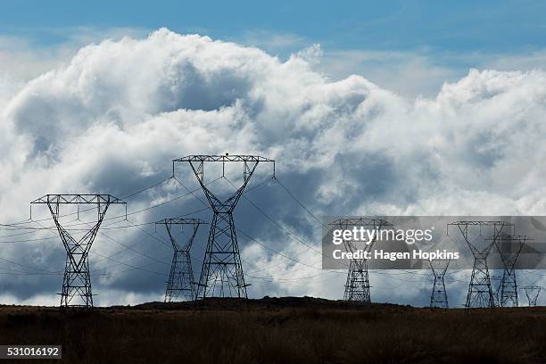 73 Nz Electric Power Lines Stock Photos, High-Res Pictures, and Images