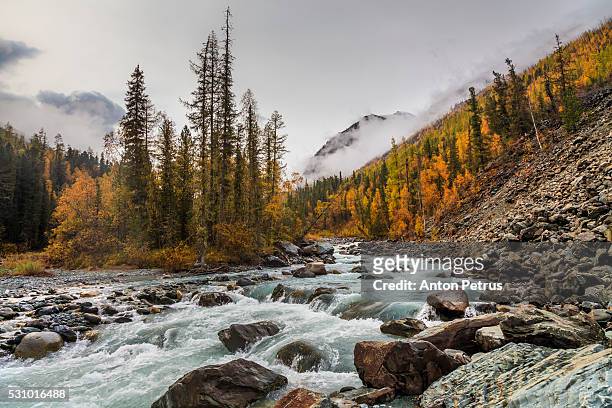 fog in the mountains in autumn - summits russia 2015 stock pictures, royalty-free photos & images