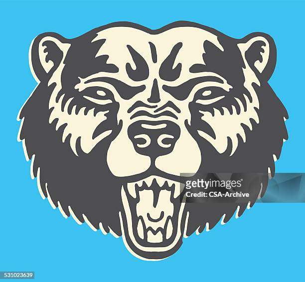 ilustrações de stock, clip art, desenhos animados e ícones de cabeça de urso - angry bear