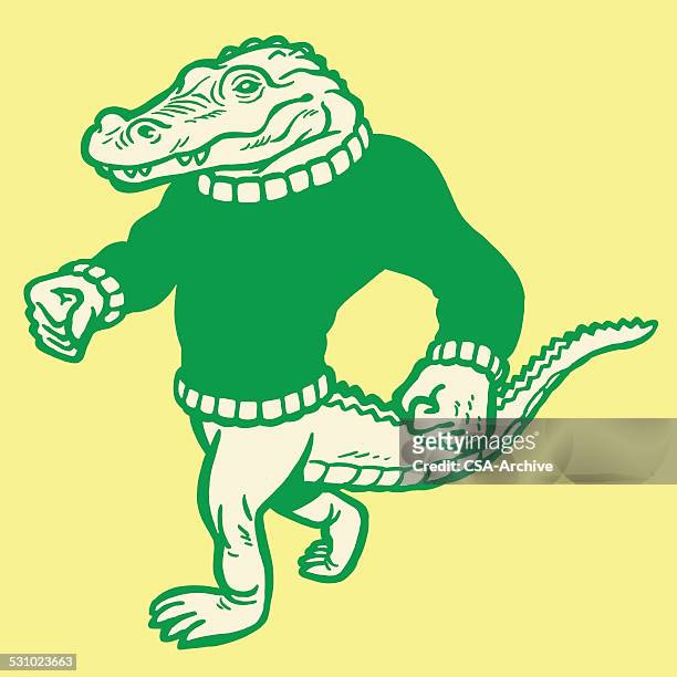 alligator mit pullover - alligator stock-grafiken, -clipart, -cartoons und -symbole