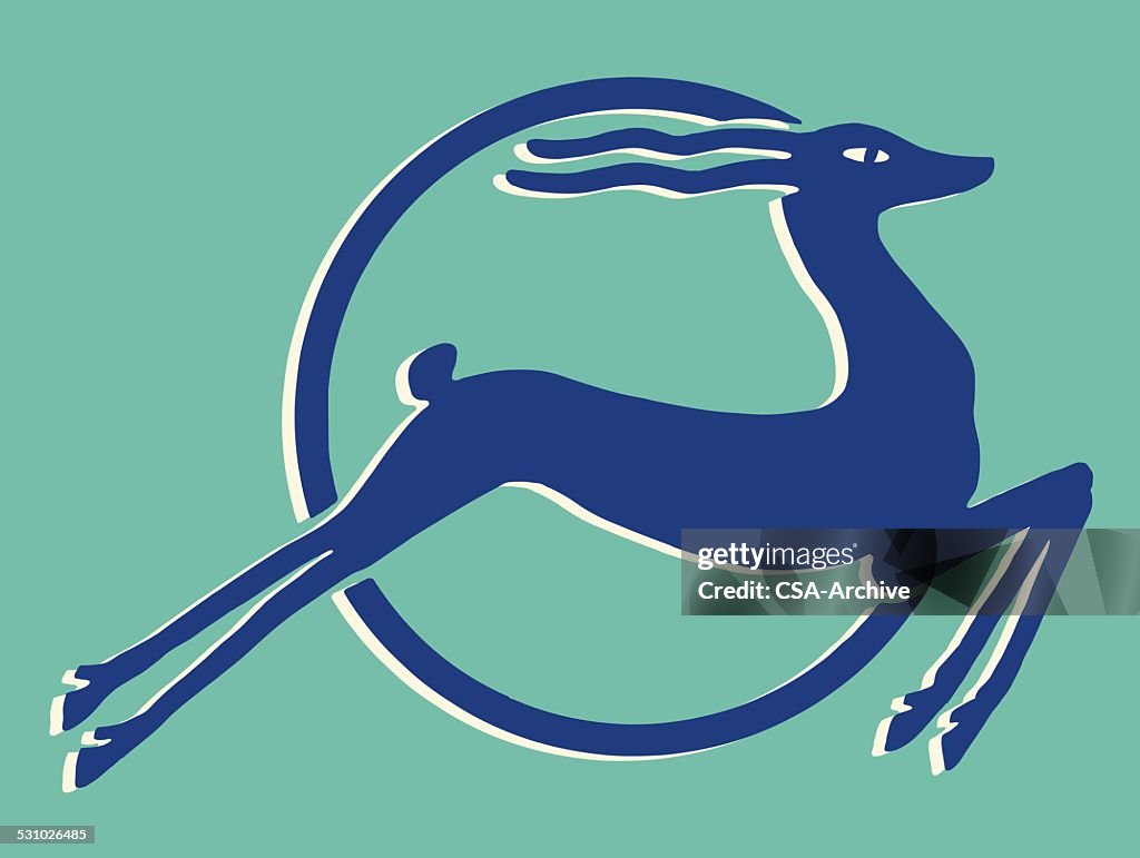 Impala Leaping