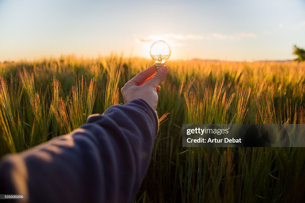 Guy from personal point of view holding a light bulb illuminated by the sunset light on the countryside.