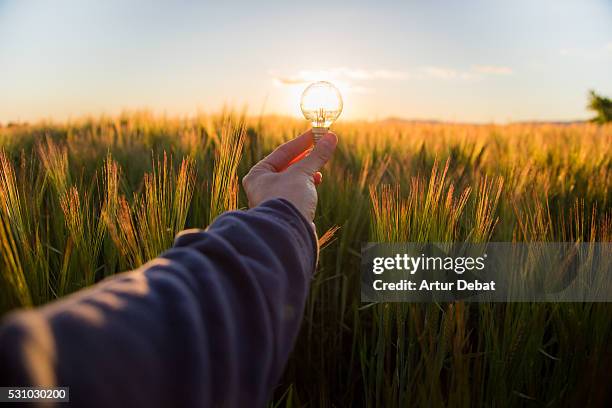 guy from personal point of view holding a light bulb illuminated by the sunset light on the countryside. - ideas generation foto e immagini stock