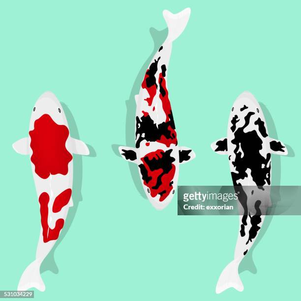 3 種類の鯉シンプル ストックイラストレーション Getty Images