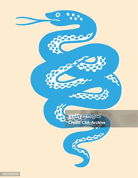 snake - rattlesnake stock illustrations