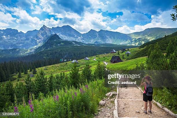weibliche touristen, die aufnahme in die berge - carpathian mountain range stock-fotos und bilder