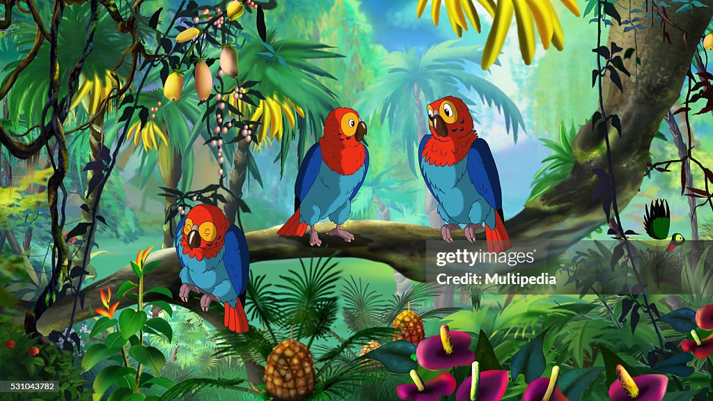 Macaw Parrot sitting on a Branch