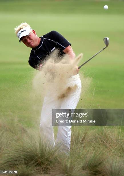 Peter Hedblom of Sweden hits a shot during the final round of the U.S. Open on Pinehurst No. 2 at the Pinehurst Resort on June 19, 2005 in Pinehurst,...