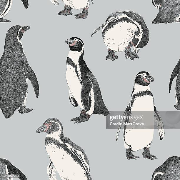 pinguin nahtlose wiederholen - pinguine stock-grafiken, -clipart, -cartoons und -symbole