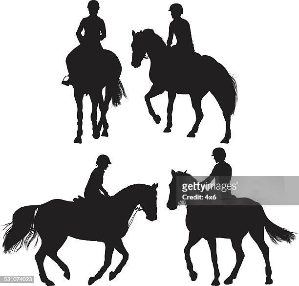 stockillustraties, clipart, cartoons en iconen met horse equestrian - paardrijden