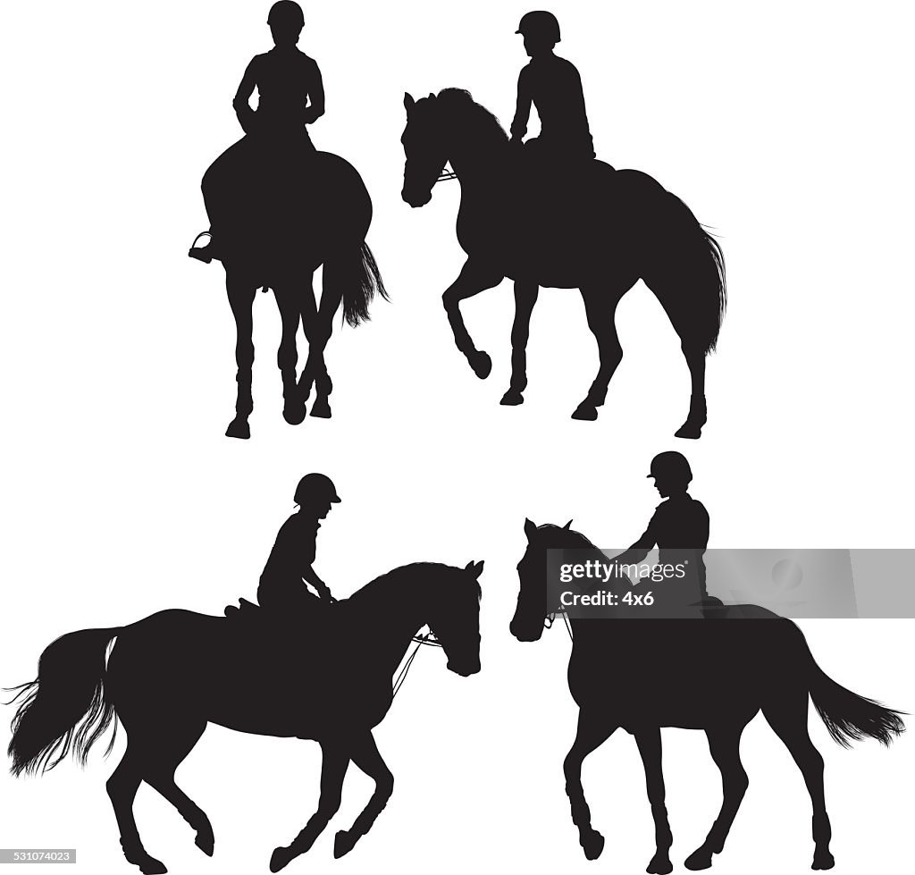 Horse equestrian