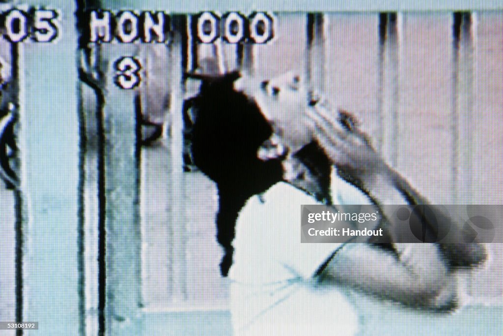 Israel Captures Palestinian Female Suicide Bomber