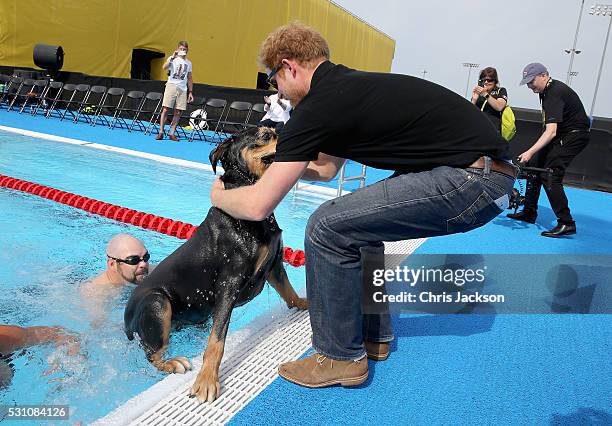 Prince Harry helps a service dog out from the pool as they take part in a race in the pool with their Invictus competitor handlers on the final day...