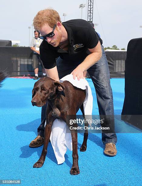 Prince Harry dries a service dog after it raced in the pool during with its Invictus competitor handlers on the final day of the Invictus Games...