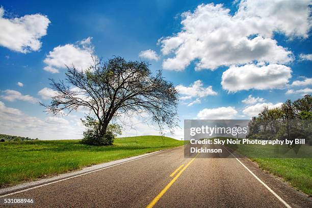 N Loop Rd Tree Texas 1,665 Texas Road Trees Stock Photos, High-Res Pictures, and Images ...
