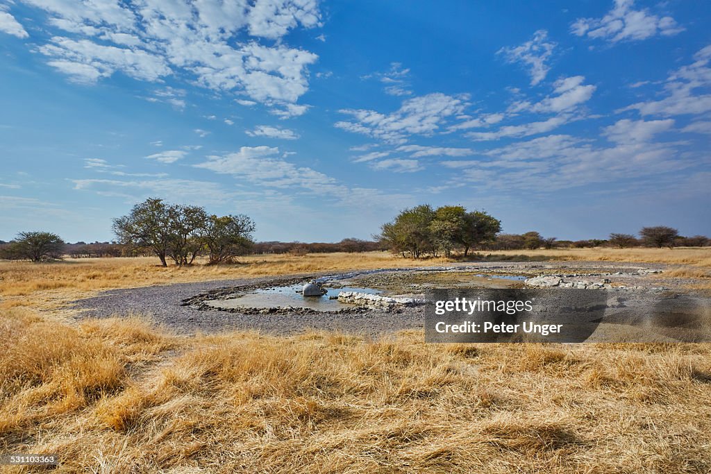 Man made waterhole
