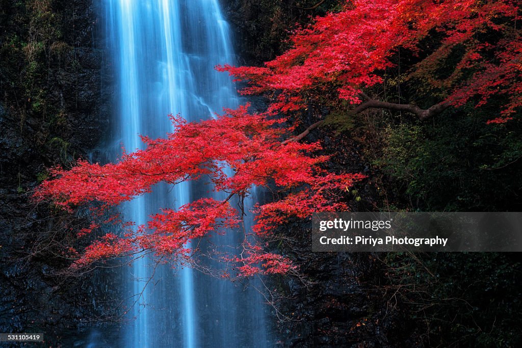 Minoo Waterfall