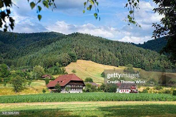 traditional black forest house - bauernhaus stock-fotos und bilder