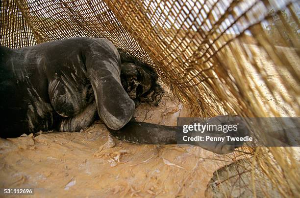 Elsie Ganbada inside a ngangiyal -menstrual tent-during traditional healing ceremony with her family in her clan-country at Manikapitji Arnhem Land....