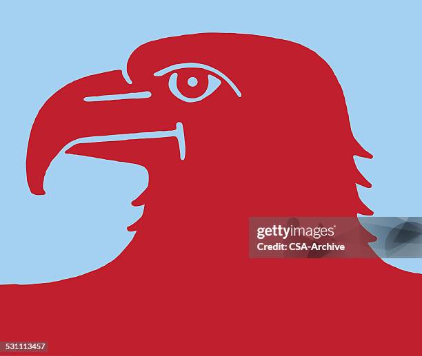 weißkopfseeadler profil - felsmalerei stock-grafiken, -clipart, -cartoons und -symbole