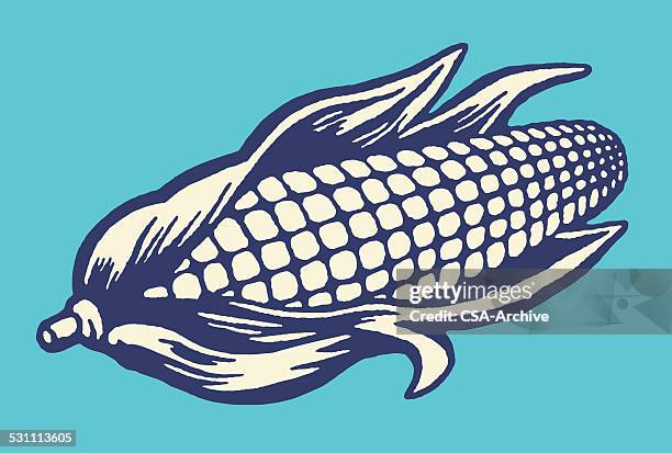 ilustraciones, imágenes clip art, dibujos animados e iconos de stock de espiga de maíz - corn