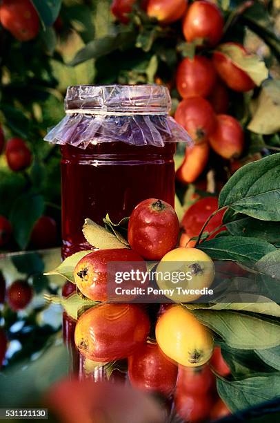 1,855 Crabapple Tree Stock Photos, High-Res Pictures, and Images