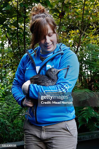 Emma Bean holds' Mighty Dash', Rainbow Springs 1500th kiwi chick during the Prime Minister John Key's visit to Ngai Tahu Tourism's Rainbow Springs on...