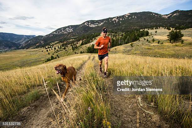 a man and  trail running - active dog stock-fotos und bilder