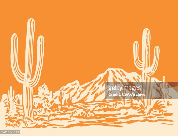 illustrazioni stock, clip art, cartoni animati e icone di tendenza di scena deserto - piante grasse