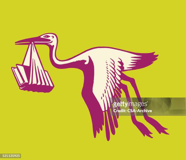 stork carying books - stork stock illustrations
