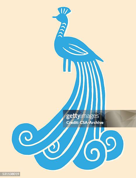 peacock - cave painting vector stock illustrations