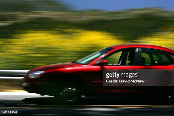 Motorist speeds past flowers as a heavy wildflower bloom, the result of last winter's record rainfall, continues on the first day of summer along the...
