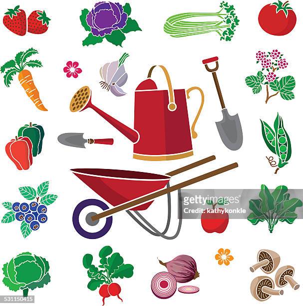 stockillustraties, clipart, cartoons en iconen met vegetable garden produce with wheel barrow and watering can - spaanse ui