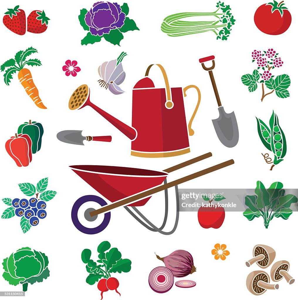 Vegetable garden produce with wheel barrow and watering can