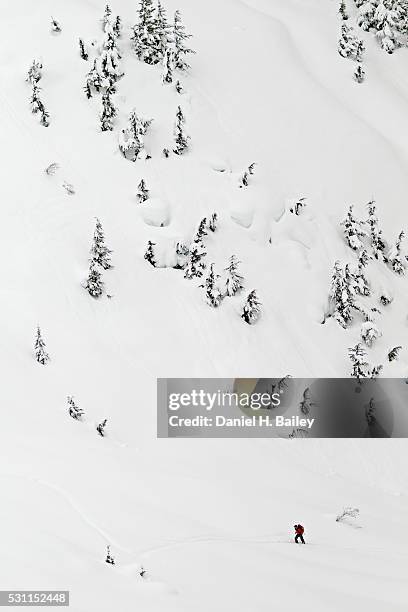 backcountry skier - ski pole stock pictures, royalty-free photos & images